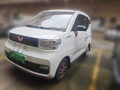 Wuling Hongguang MINIEV 2020 Deluxe Edition LFP Battery - ფოტო 1