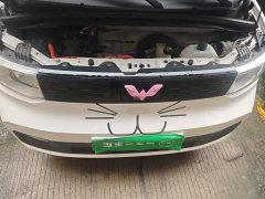 Wuling Hongguang MINIEV 2020 Deluxe Edition LFP Battery - ფოტო 11