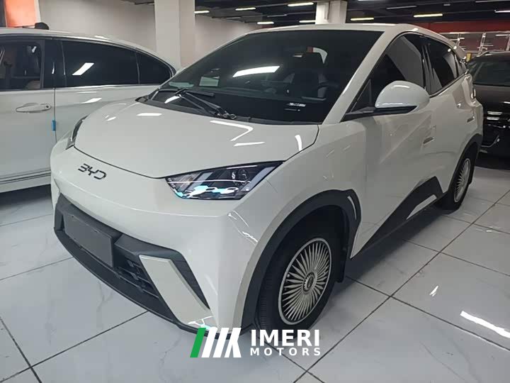 BYD Seagull Glory Edition 305km Vitality Version - ავტომობილი ჩინეთიდან