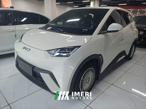 2024 BYD Seagull Glory Edition 305km Vitality Version - ავტომობილი ჩინეთიდან