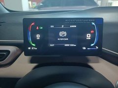 BYD Seagull Glory Edition 305km Vitality Version - ფოტო 12