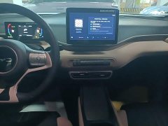 BYD Seagull Glory Edition 305km Vitality Version - ფოტო 13