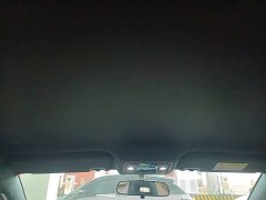 BYD Seagull Glory Edition 305km Vitality Version - ფოტო 18