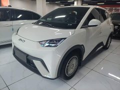 BYD Seagull Glory Edition 305km Vitality Version - ფოტო 2