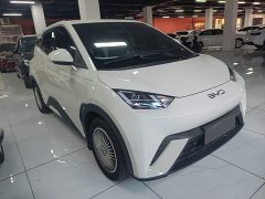 BYD Seagull Glory Edition 305km Vitality Version - ფოტო 4