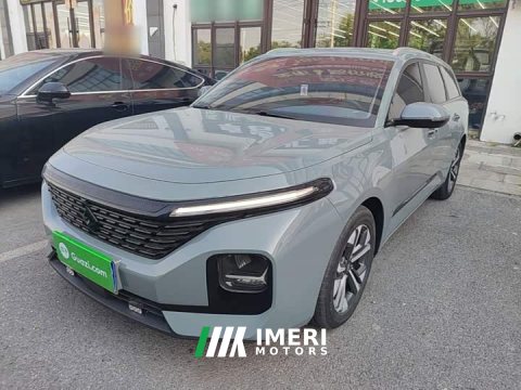 2021 Baojun Valli 1.5T Nagqu Starry CVT Premier - ავტომობილი ჩინეთიდან
