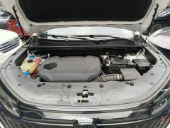 Changan CS75 PLUS Gen 2.0T Automatic Distinguished Edition - ფოტო 20