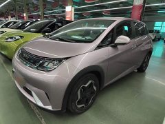 BYD Dolphin 405km Freedom Edition - ფოტო 1