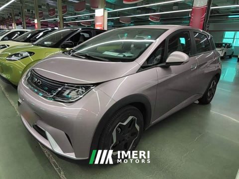 2022 BYD Dolphin 405km Freedom Edition - ავტომობილი ჩინეთიდან