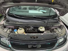 BYD Dolphin 405km Freedom Edition - ფოტო 20