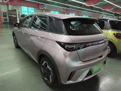 BYD Dolphin 405km Freedom Edition - ფოტო 5