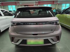 BYD Dolphin 405km Freedom Edition - ფოტო 6