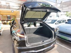 Nio Lerado L60 60kWh Rear-Wheel Drive - ფოტო 19