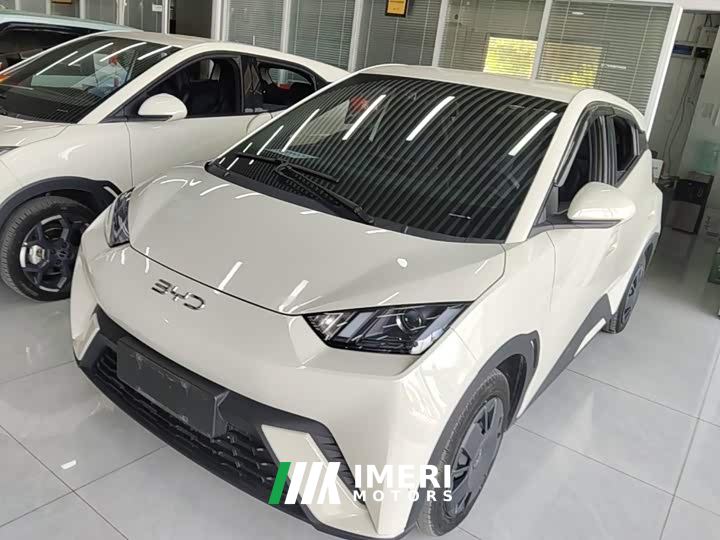 BYD Seagull Glory Edition 305km Vitality Version