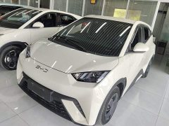 BYD Seagull Glory Edition 305km Vitality Version - ფოტო 1