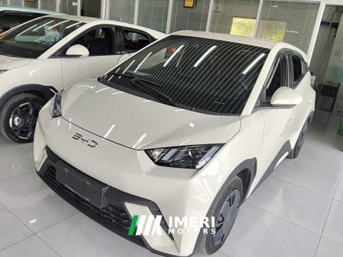 2024 BYD Seagull Glory Edition 305km Vitality Version - ავტომობილი ჩინეთიდან