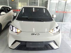 BYD Seagull Glory Edition 305km Vitality Version - ფოტო 3