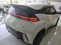 BYD Seagull Glory Edition 305km Vitality Version - ფოტო 7