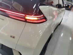BYD Seagull Glory Edition 305km Vitality Version - ფოტო 8