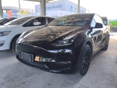 Tesla Model Y Standard Range RWD - ფოტო 1