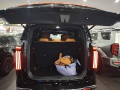 Great Wall WEY Shanshan New Energy Four-Wheel Drive Shanshan 8 - ფოტო 19
