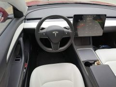 Tesla Model 3 Standard Range RWD Upgrade - ფოტო 11