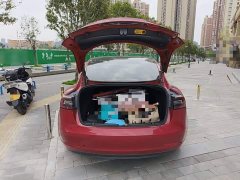 Tesla Model 3 Standard Range RWD Upgrade - ფოტო 19