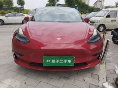 Tesla Model 3 Standard Range RWD Upgrade - ფოტო 3