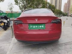 Tesla Model 3 Standard Range RWD Upgrade - ფოტო 6