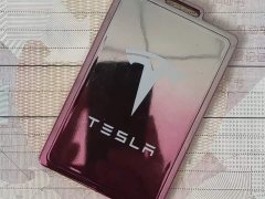 Tesla Model 3 Standard Range RWD Upgrade - ფოტო 9