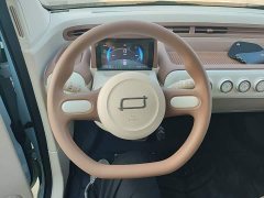 FAW Besturn Xiaoma 222km Colorful Edition - ფოტო 11