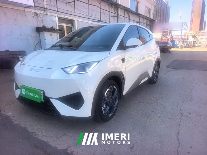 BYD Seagull Smart Driving Edition 305km Freedom Edition - ავტომობილი ჩინეთიდან