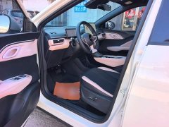 BYD Seagull Smart Driving Edition 305km Freedom Edition - ფოტო 15