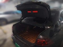 Volkswagen Magotan Zhongxiang 330TSI DSG Luxury - ფოტო 10