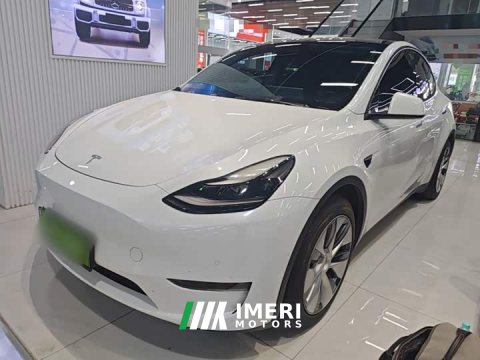 2021 Tesla Model Y Standard Range RWD - ავტომობილი ჩინეთიდან