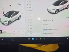 Tesla Model Y Standard Range RWD - ფოტო 12