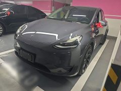 Tesla Model Y Long Range All-Wheel Drive - ფოტო 2