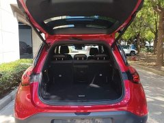 smart #1 BRABUS Performance Edition - ფოტო 19