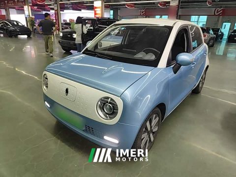 2021 ORA Black Cat 351km Standard - ავტომობილი ჩინეთიდან