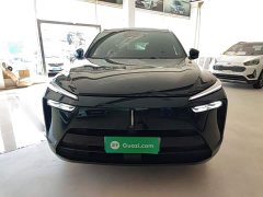 Great Wall WEY Blue Mountain Four-Wheel Drive Extended Range Version - ფოტო 3