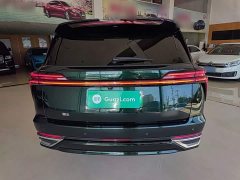 Great Wall WEY Blue Mountain Four-Wheel Drive Extended Range Version - ფოტო 6