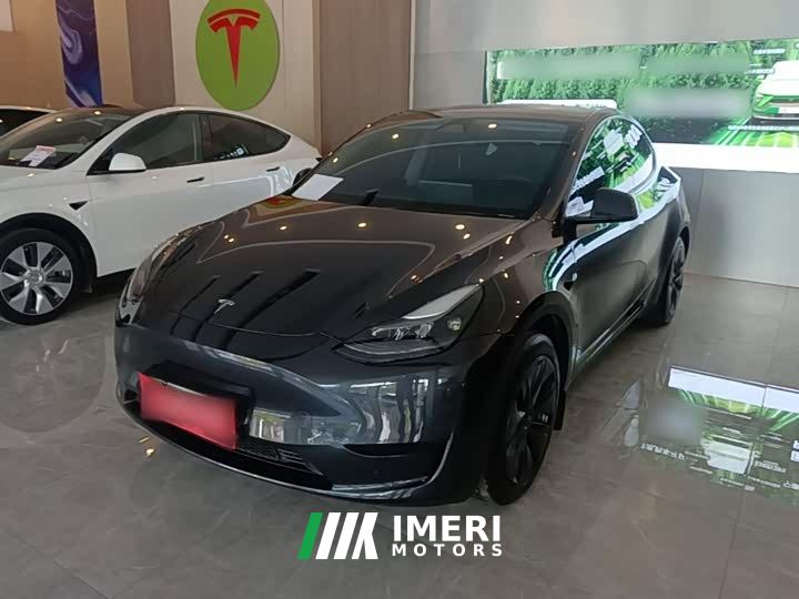 Tesla Model Y Rear-Wheel Drive