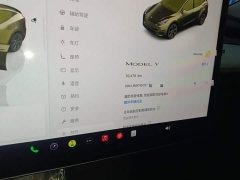 Tesla Model Y Rear-Wheel Drive - ფოტო 12