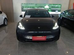 Tesla Model Y Rear-Wheel Drive - ფოტო 3