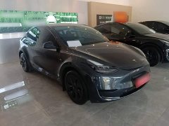 Tesla Model Y Rear-Wheel Drive - ფოტო 4