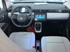 Leapmotor T03 403 Lite Edition - ფოტო 10