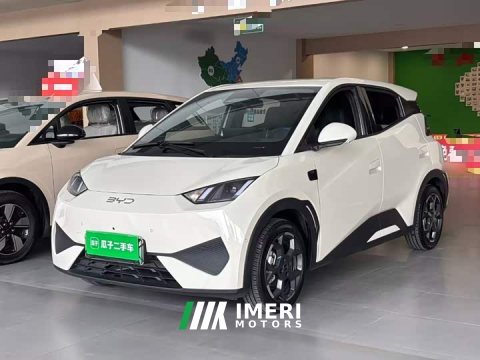 2025 BYD Seagull Smart Driving Edition 305km Freedom Edition - ავტომობილი ჩინეთიდან