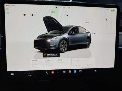 Tesla Model Y Rear-Wheel Drive - ფოტო 12