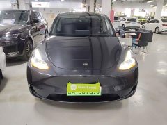 Tesla Model Y Rear-Wheel Drive - ფოტო 3