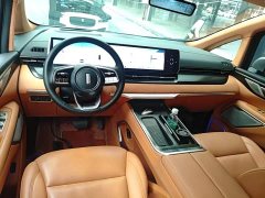 Great Wall WEY Shanshan New Energy 2023 Four-Wheel Drive Flagship Edition - ფოტო 10